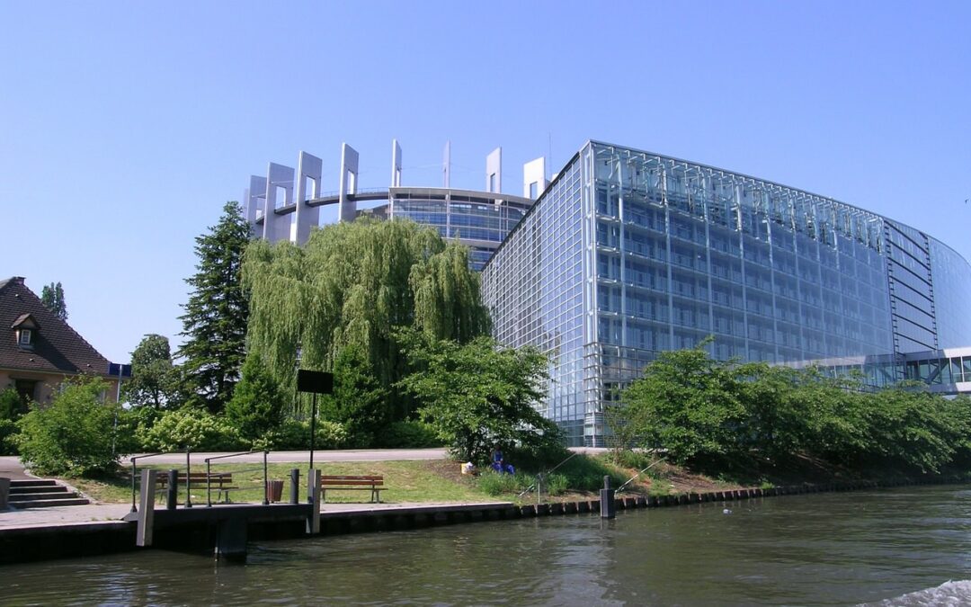 Šta treba znati o izborima za Evropski parlament