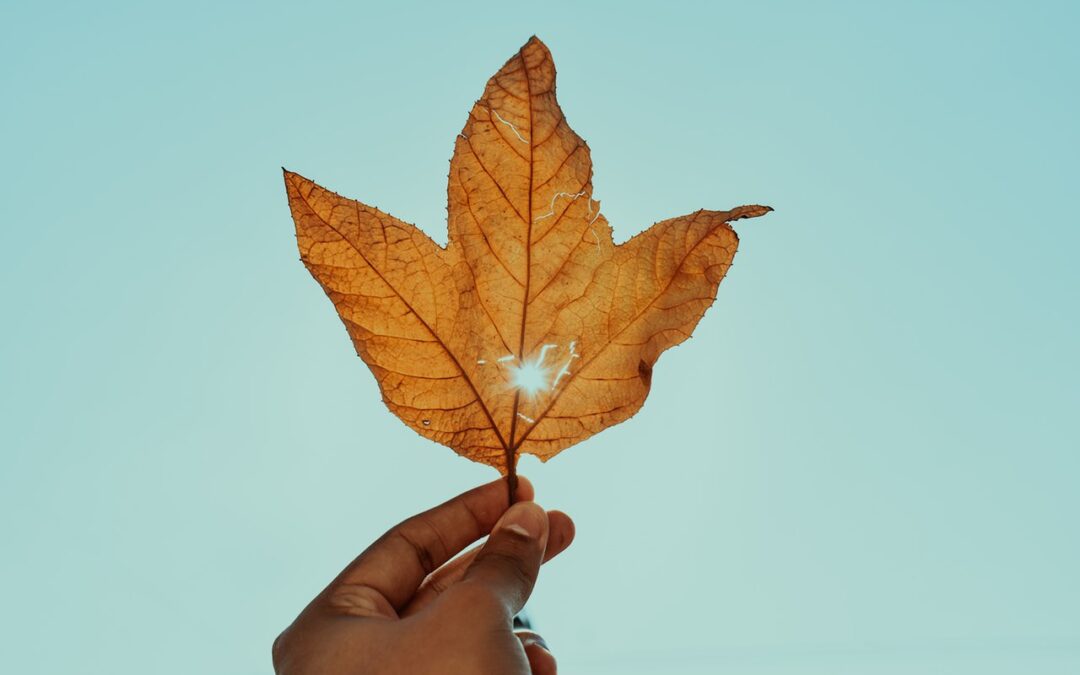 8 principa javnih nabavki