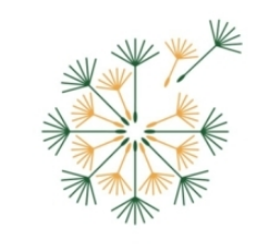 OPEN-CALL ANNOUNCED FOR THE NEW 2021-2022 GENERATION OF MENTORS! SHARE YOUR KNOWLEDGE